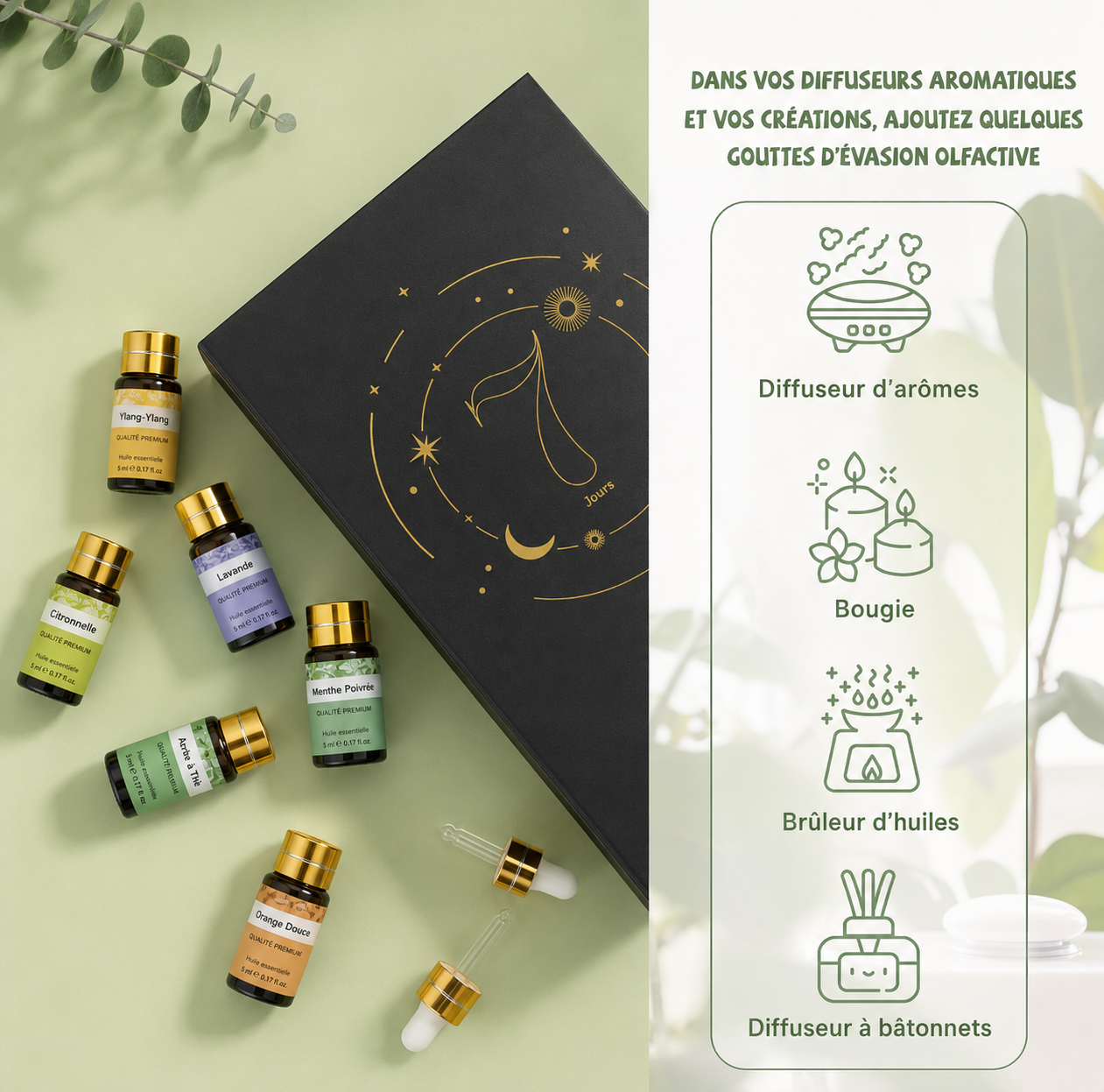 Coffret Rituel Olfactif — 15 Huiles Essentielles