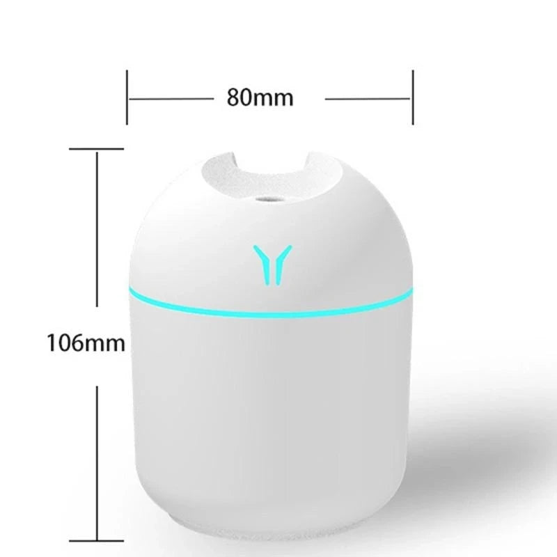 Mini Diffuseur Nyoma — Format Nomade